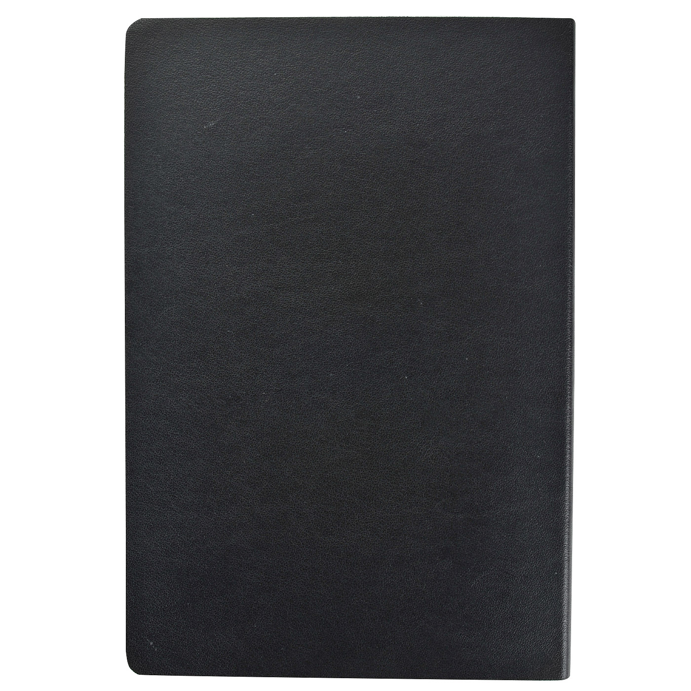 Ежедневник в кожаной обложке Stevens 