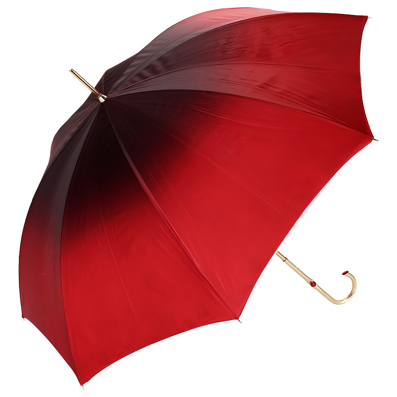 Зонт с принтом внутри Pasotti 